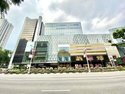 Cairnhill Crest (D9), Condominium #514760041